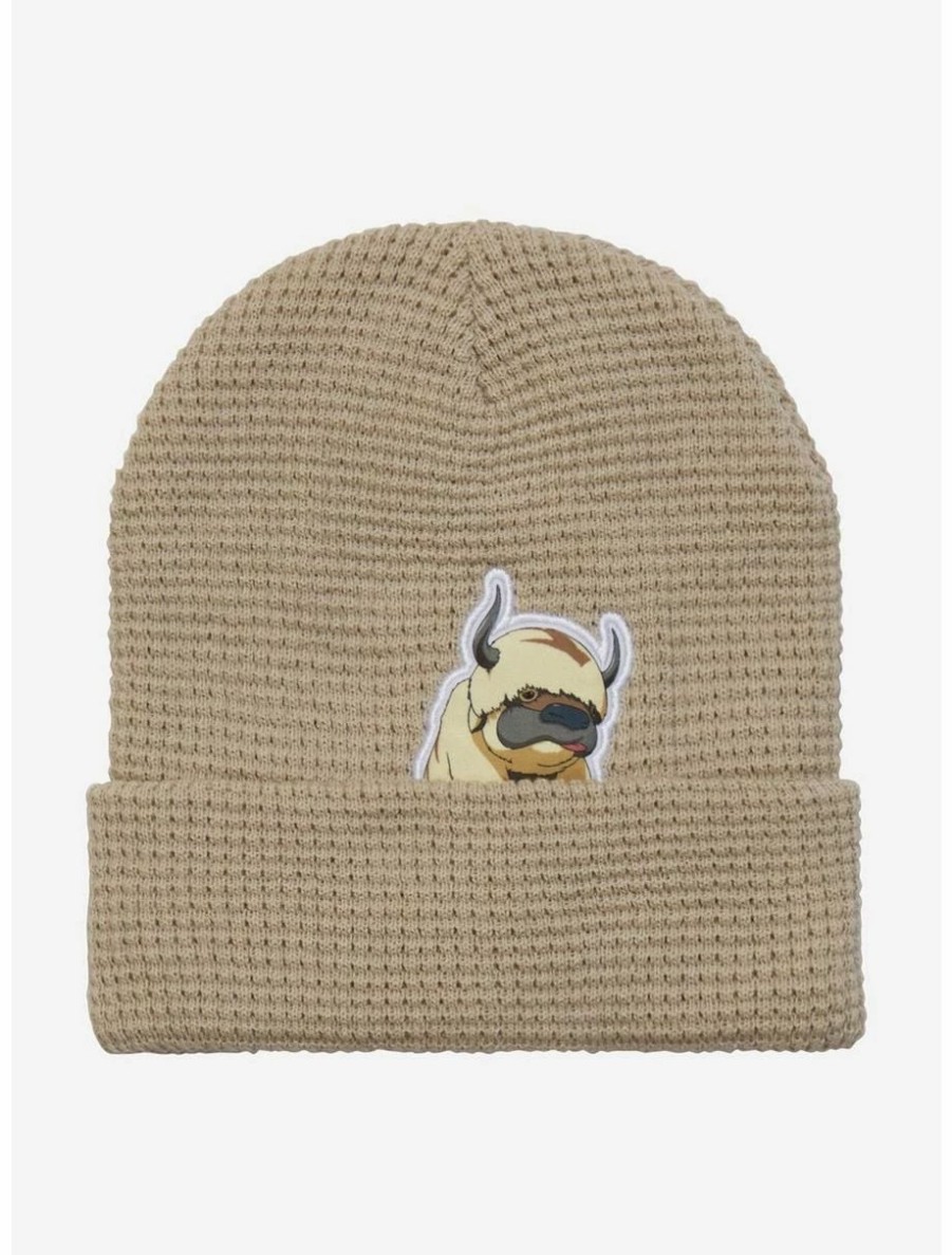 Anime * | Anime Avatar: The Last Airbender Appa Waffle Knit Cuff Beanie Boxlunch Exclusive